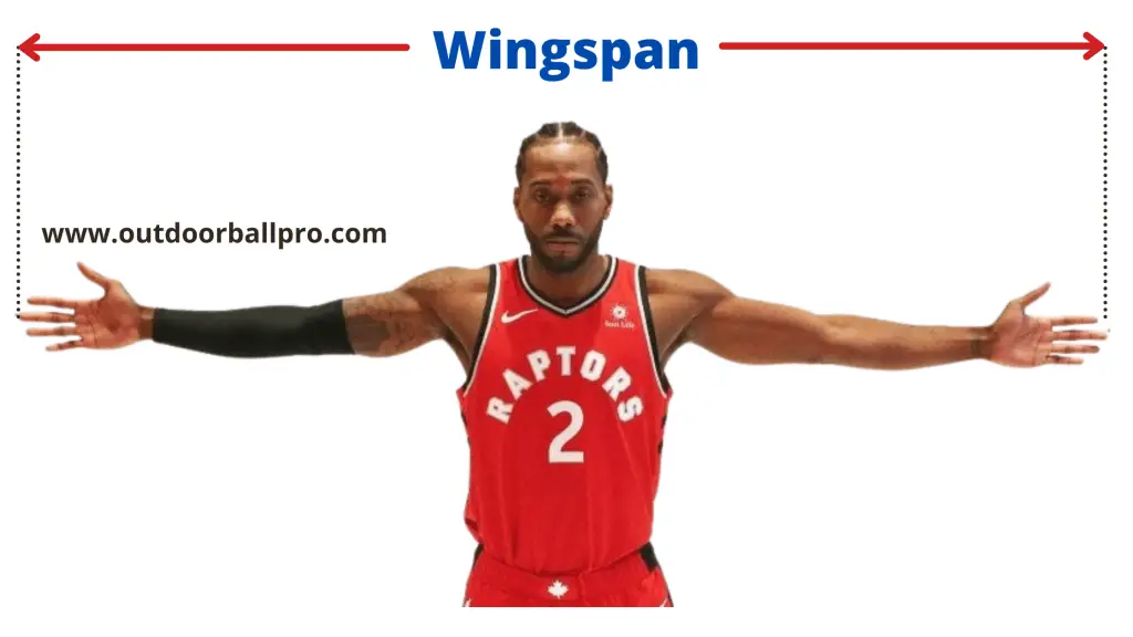 human wingspan