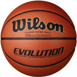 wilson outdoor basketball