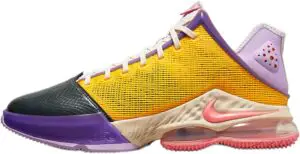 Nike Lebron 19 Low Basketball Shoes